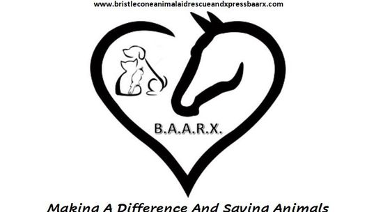 BAARX Bristlecone Animal Aid Rescue & Xpress BAARX Bristlecone Animal Aid Rescue & Xpress