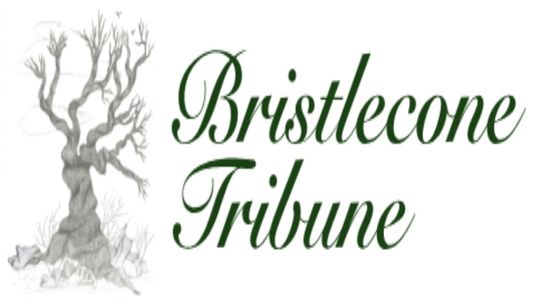 Bristlecone Tribune