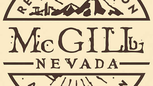 McGill Revitalization Association McGill Revitalization Association