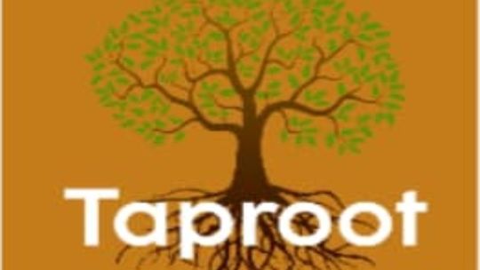 Taproot / The Space