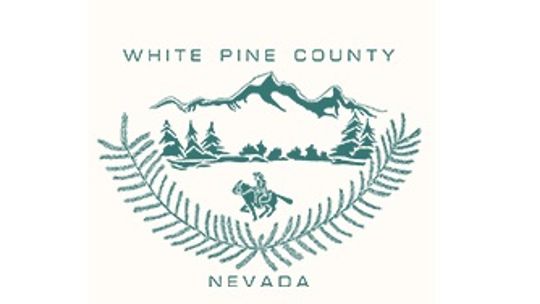 White Pine County Government