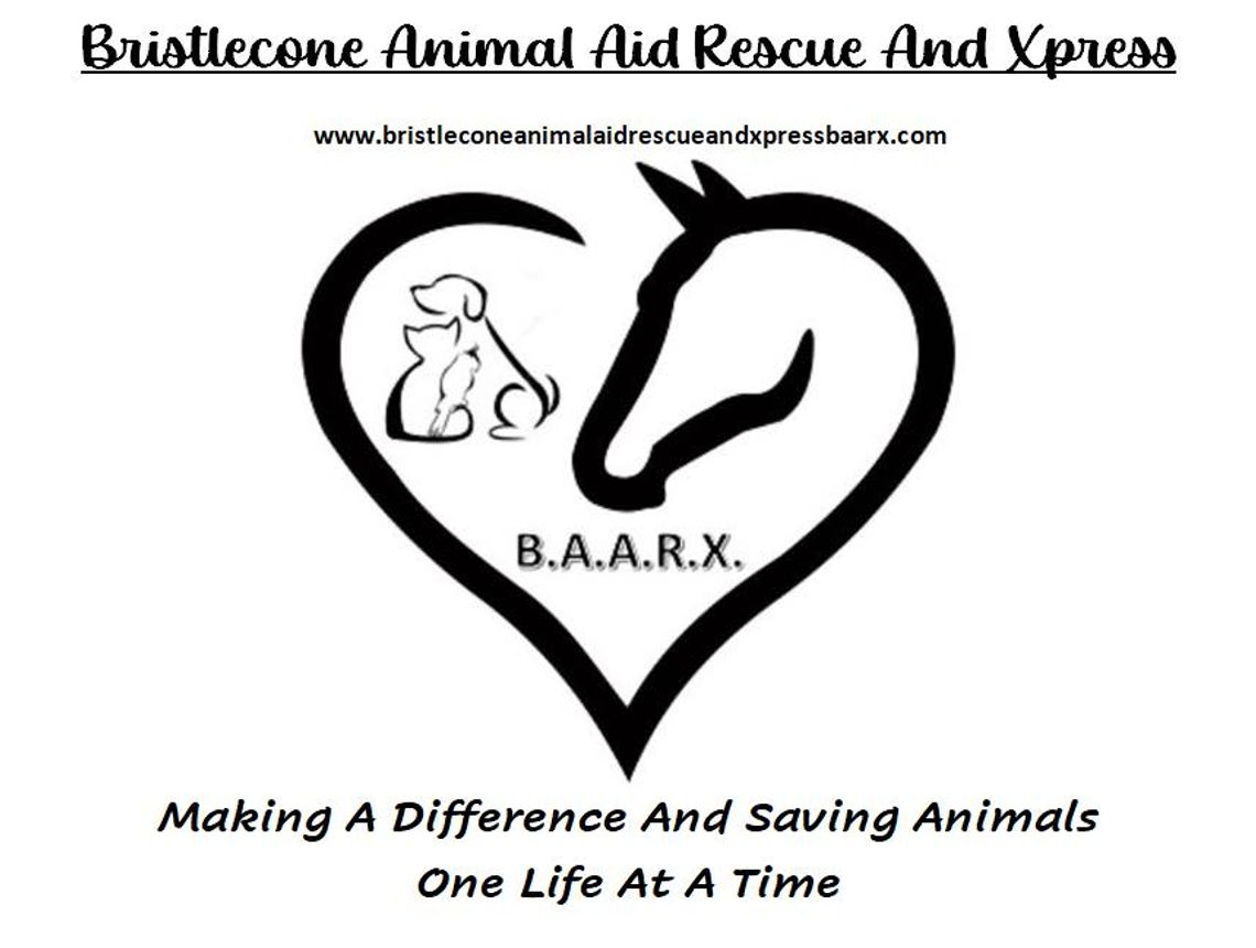 BAARX Bristlecone Animal Aid Rescue & Xpress BAARX Bristlecone Animal Aid Rescue & Xpress