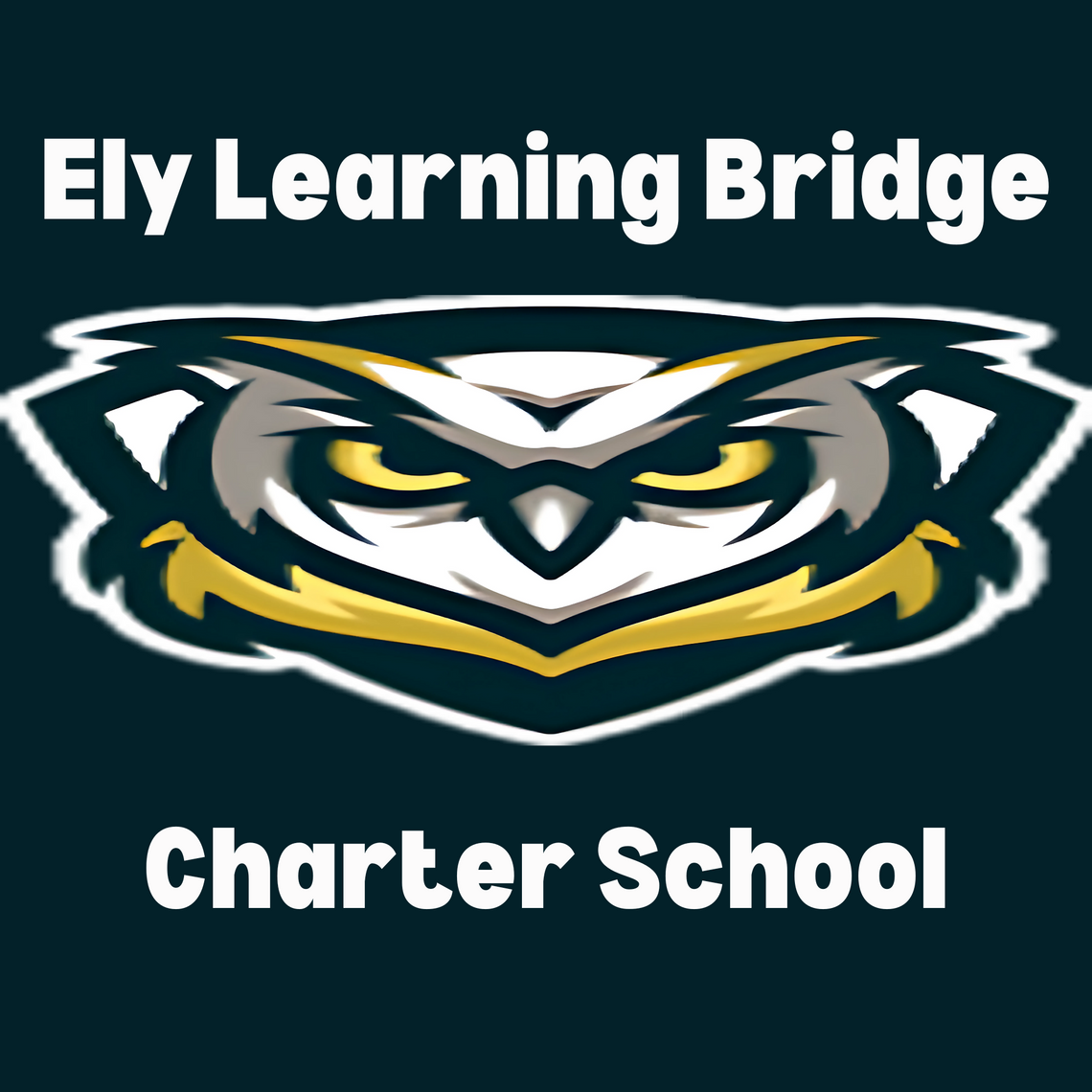 Ely Learning Bridge Charter School