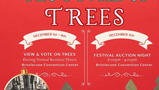 Festival of Trees - 2025