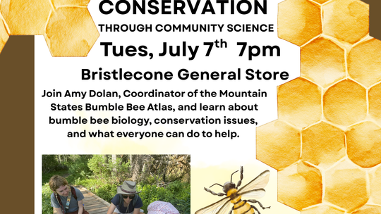 MINI BIOBLITZ