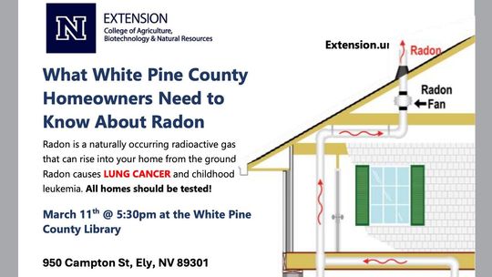 Radon Education