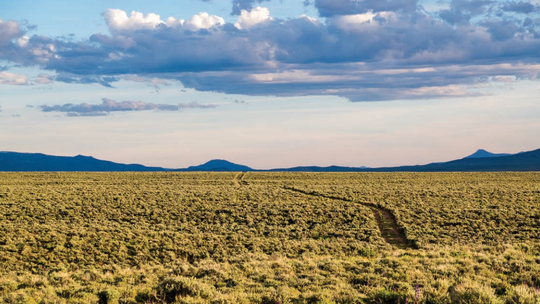 The Sagebrush Ocean