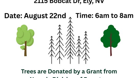 Tree Planting Party