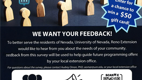 White Pine County NEEDS SURVEY White Pine County NEEDS SURVEY