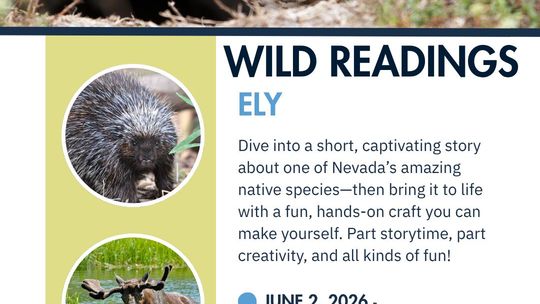 Wild Readings Wild Readings