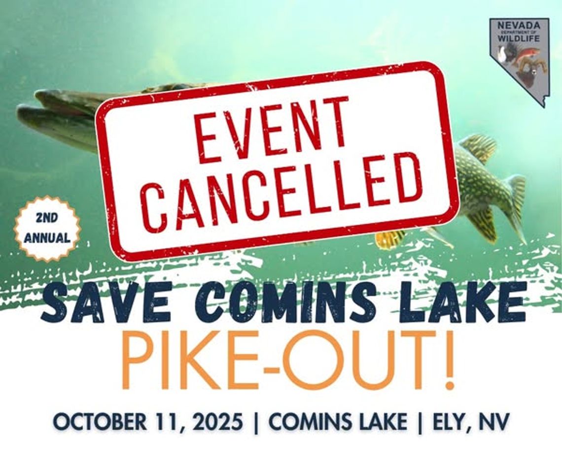 Comins Lake Pike Out Comins Lake Pike Out