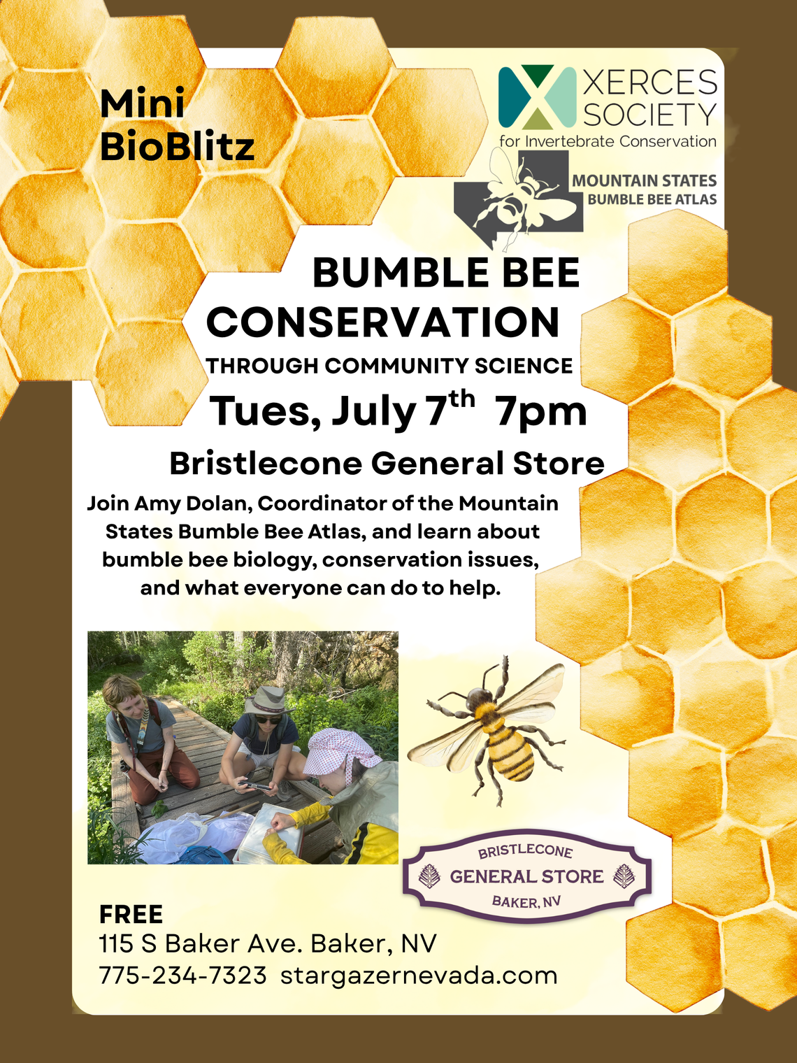 MINI BIOBLITZ