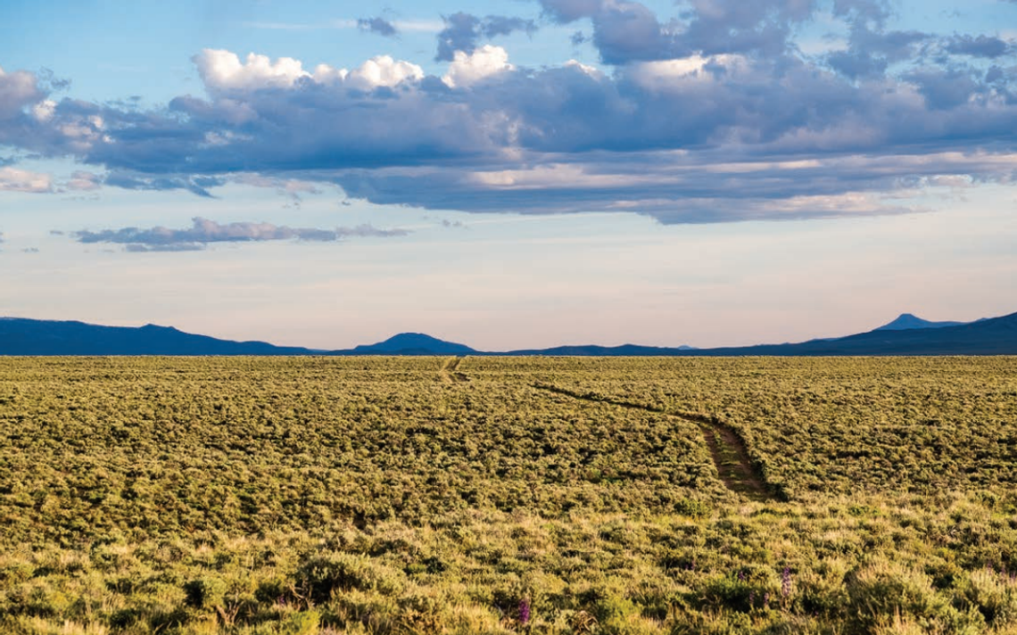 The Sagebrush Ocean The Sagebrush Ocean