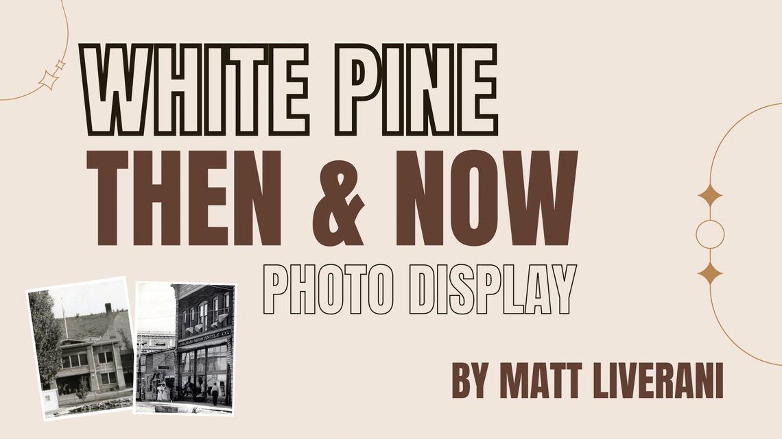 White Pine Then & Now White Pine Then & Now